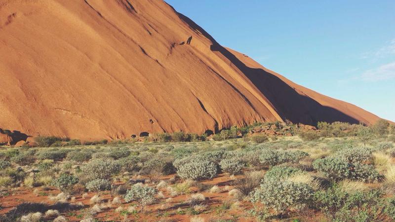 禁漫天堂jmcomic搜索趋势示意图